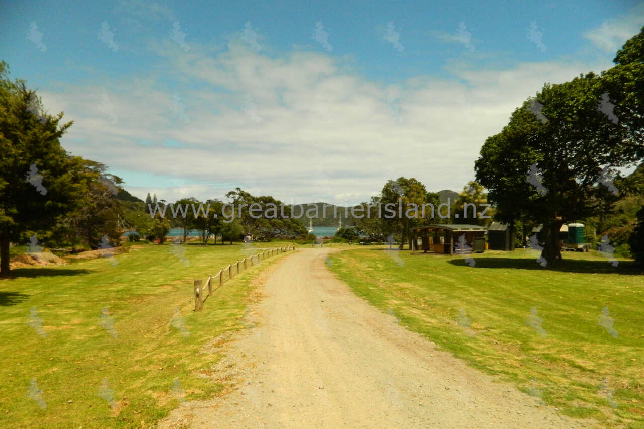 Akapoua Bay Campground - Great Barrier Island