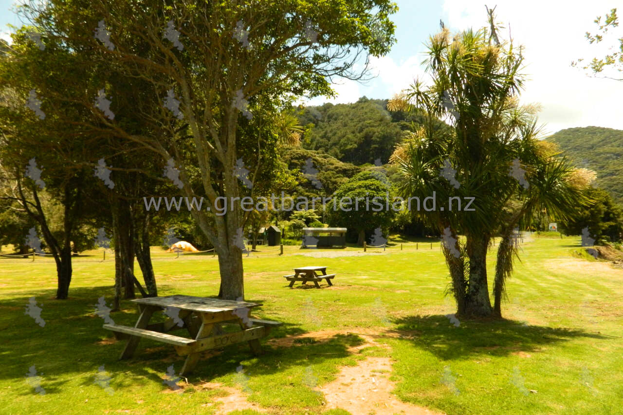 Akapoua Bay Campground - Great Barrier Island