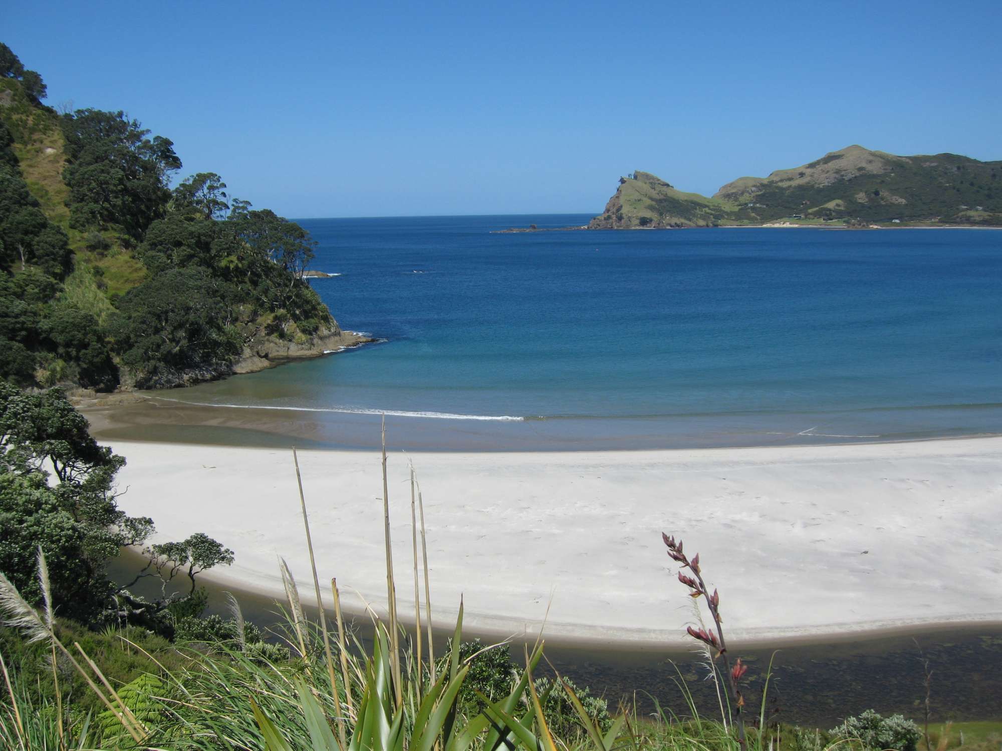 Great Barrier Island – New Zealand