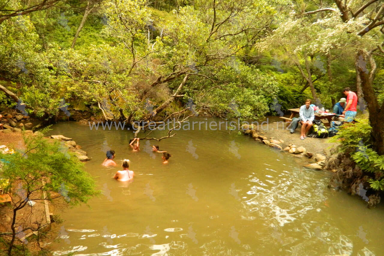 Kaitoke Hot Springs Track Great Barrier Island